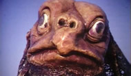 The Sea Devils