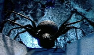 Planet of the Spiders