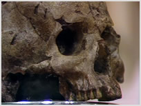 Image of the Fendahl
