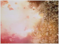 Underworld